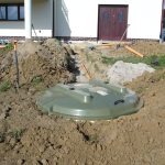 Przydomowe oczyszczalnie – czy wybrać trzcinę?